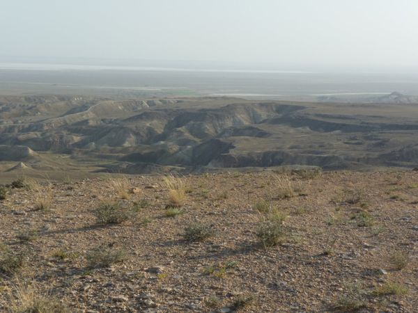 Photo from 23 Jun 2009