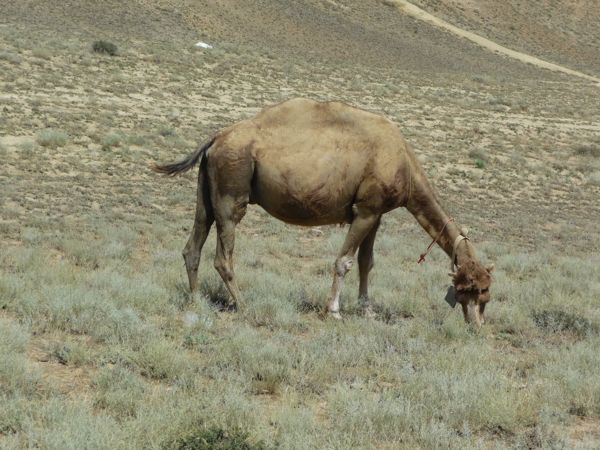 Photo from 24 Jun 2009