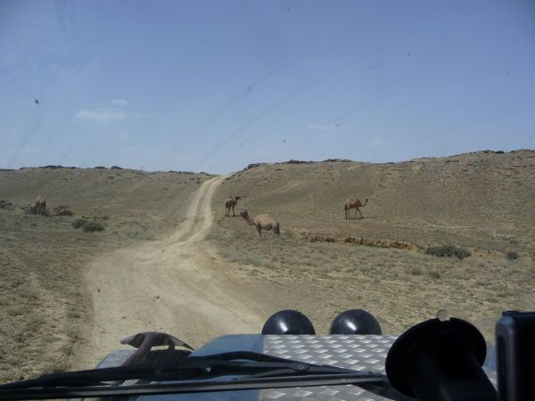 Photo from 24 Jun 2009