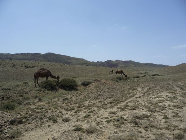 Photo from 24 Jun 2009