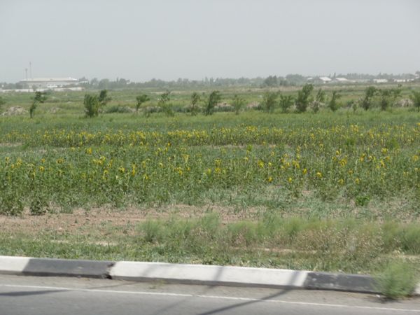 Photo from 28 Jun 2009