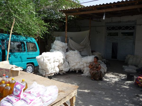 Photo from 28 Jun 2009