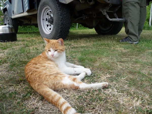 Photo from 6 May 2009