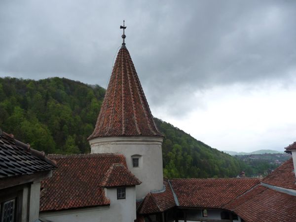 Photo from 7 May 2009