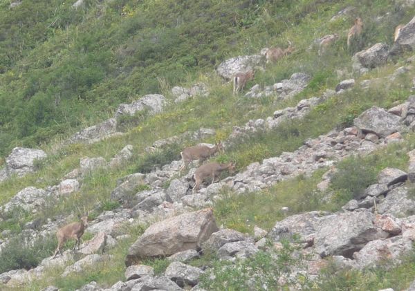 Photo from 13 Aug 2009
