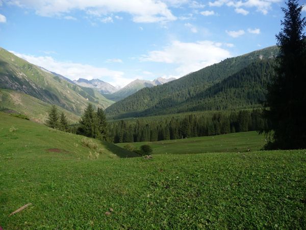 Photo from 19 Aug 2009