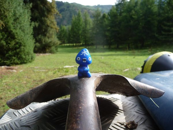 Photo from 20 Aug 2009
