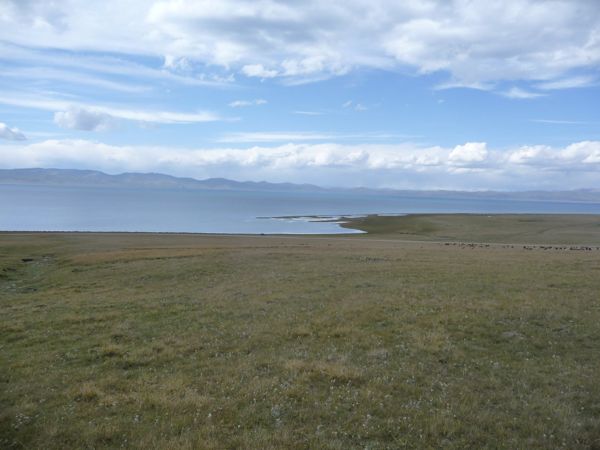 Photo from 21 Aug 2009