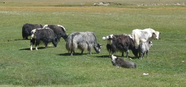Photo from 24 Aug 2009