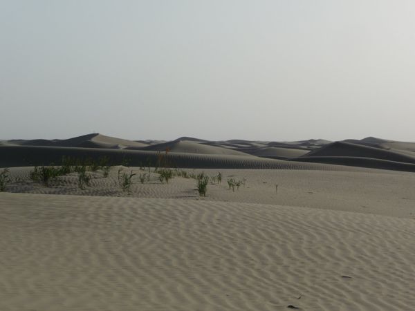 Photo from 27 Aug 2009