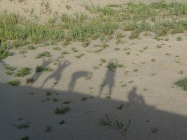 Photo from 27 Aug 2009