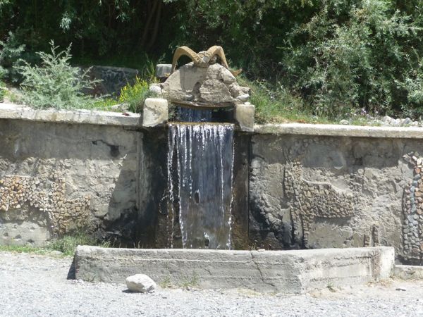 Photo from 26 Jul 2009