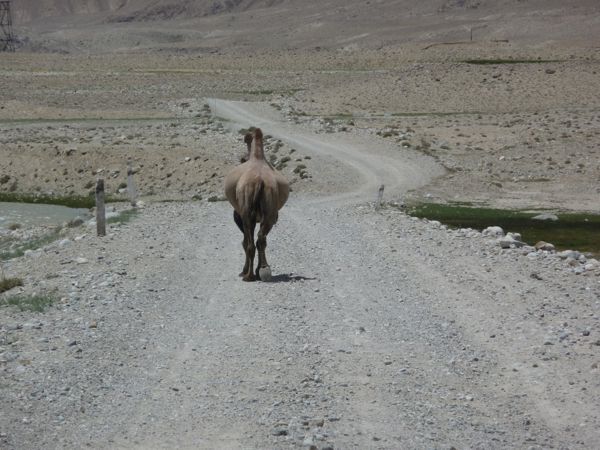 Photo from 27 Jul 2009