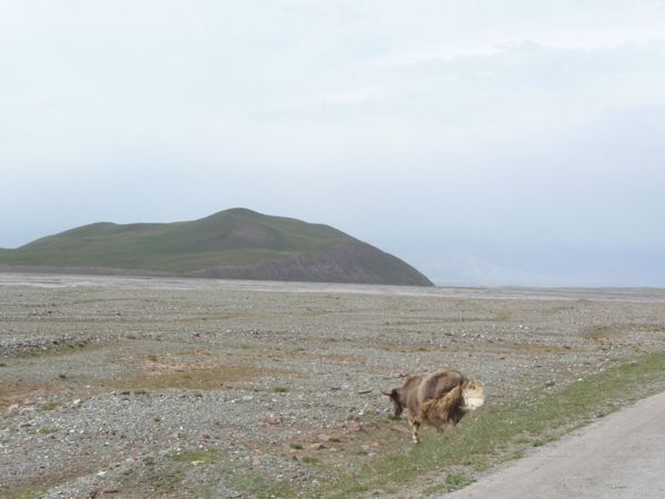 Photo from 28 Jul 2009
