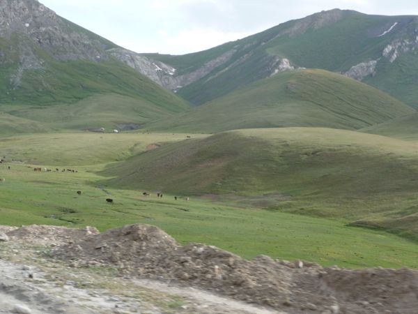 Photo from 28 Jul 2009