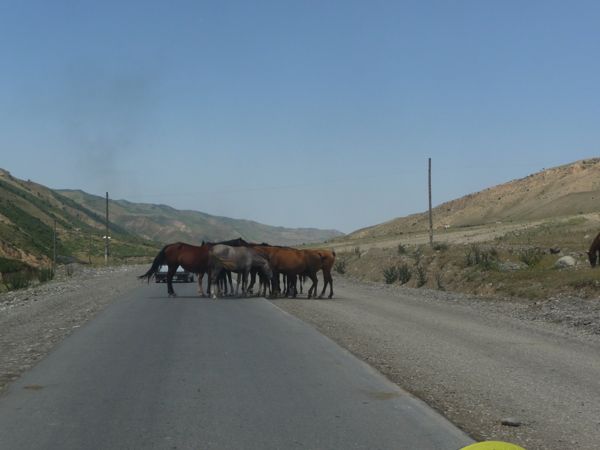 Photo from 29 Jul 2009