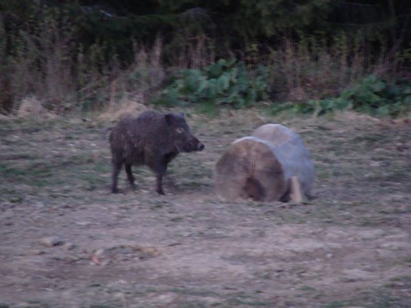 Photo from 8 May 2009