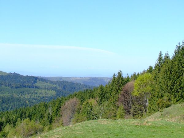 Photo from 8 May 2009