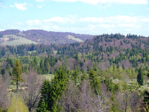 Photo from 8 May 2009