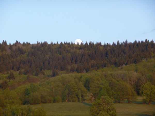 Photo from 7 May 2009