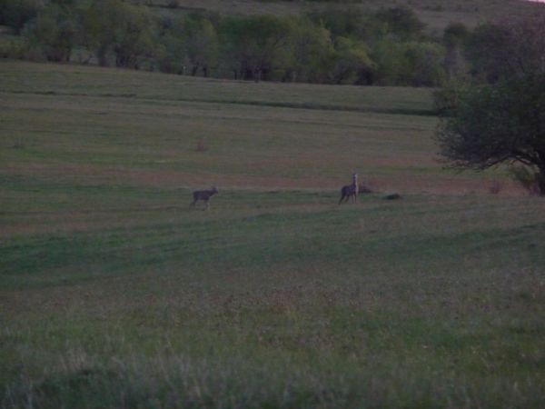 Photo from 7 May 2009