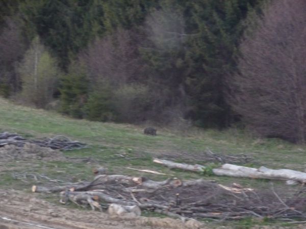 Photo from 8 May 2009
