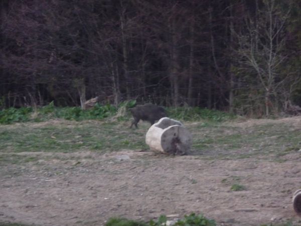 Photo from 8 May 2009