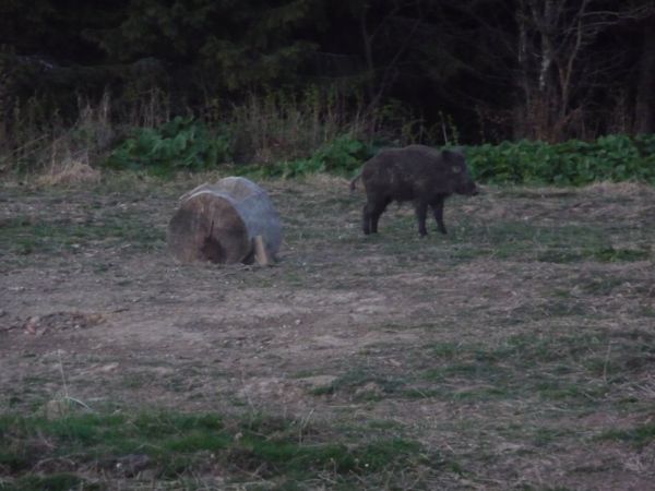 Photo from 8 May 2009