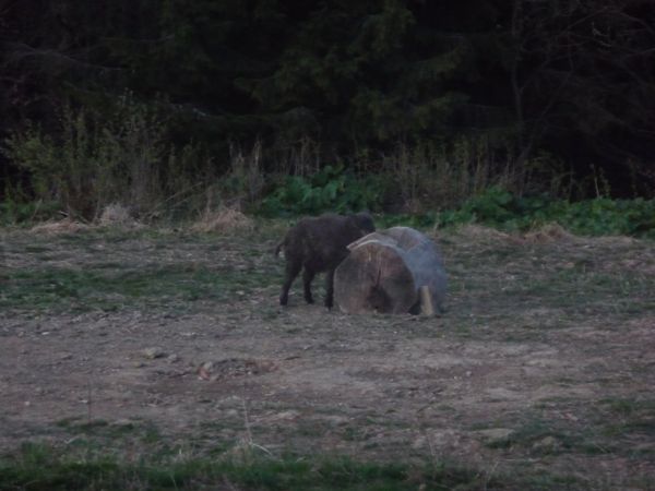 Photo from 8 May 2009