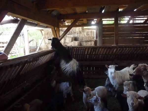 Photo from 9 May 2009