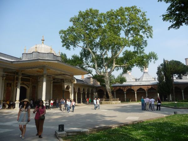 Photo from 16 May 2009