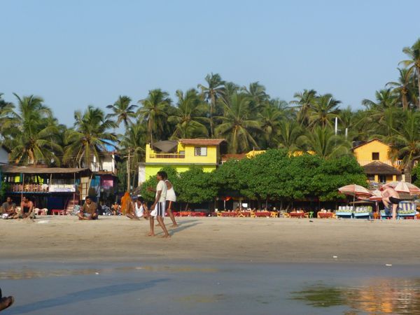 Photo from 2 Nov 2009