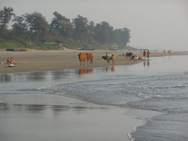 Photo from 2 Nov 2009