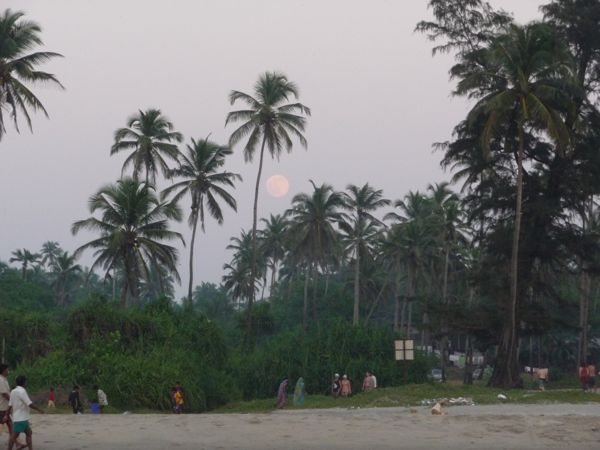 Photo from 2 Nov 2009