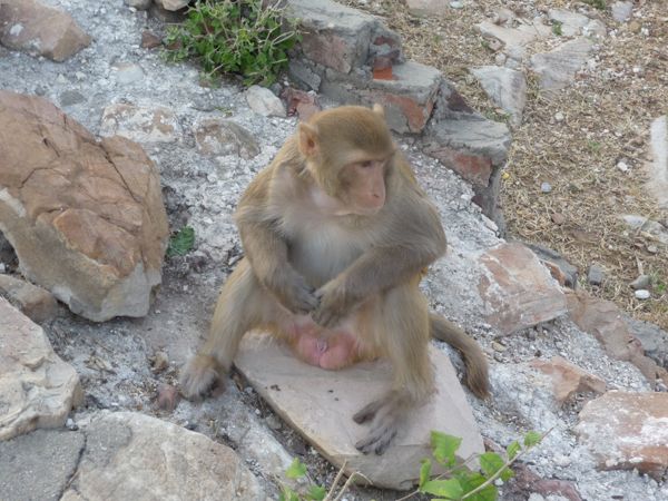 Photo from 21 Oct 2009