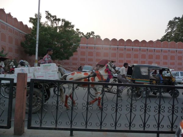 Photo from 21 Oct 2009