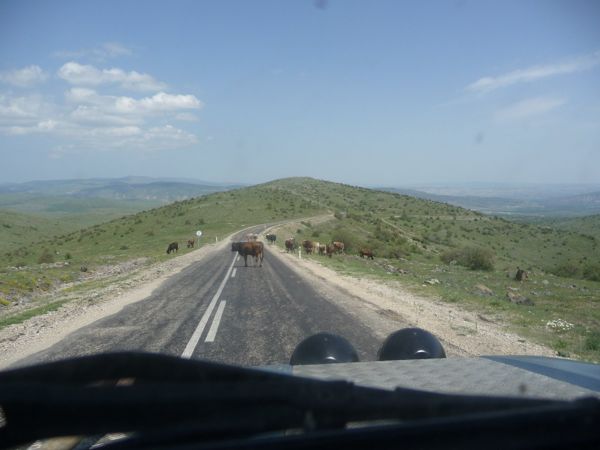 Photo from 19 May 2009