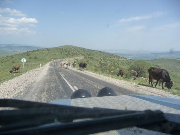 Photo from 19 May 2009