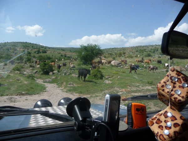 Photo from 19 May 2009