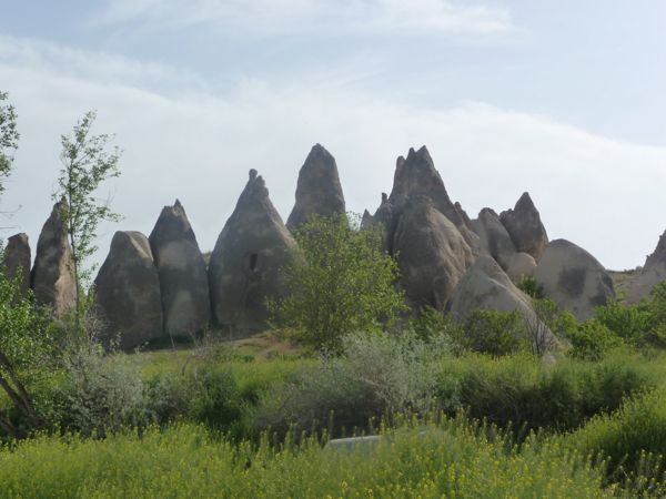 Photo from 20 May 2009