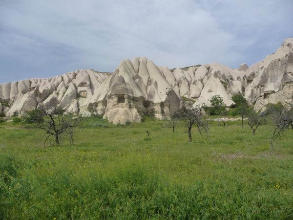 Photo from 20 May 2009