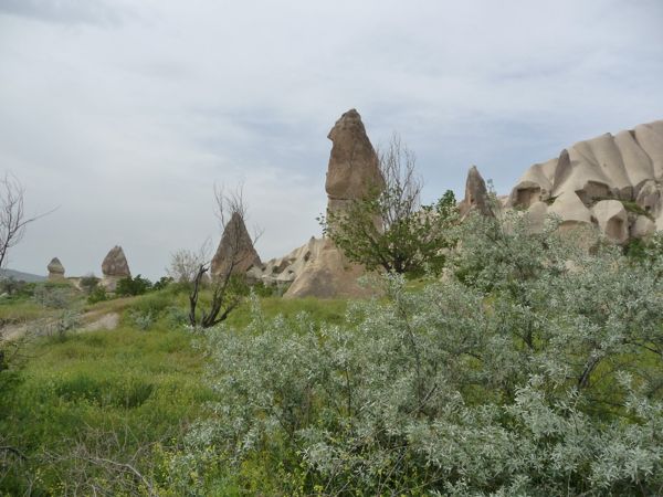 Photo from 20 May 2009