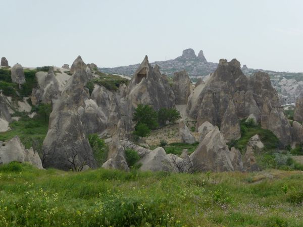 Photo from 20 May 2009