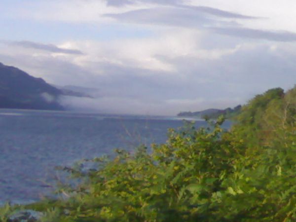 Photo from 2 Sept 2008