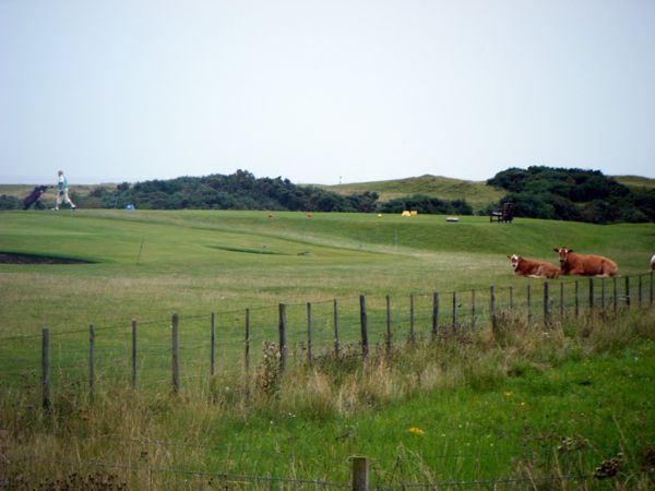 Photo from 31 Aug 2008