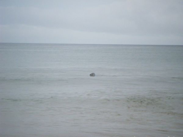 Photo from 31 Aug 2008