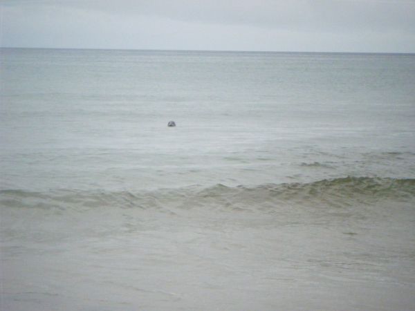 Photo from 31 Aug 2008