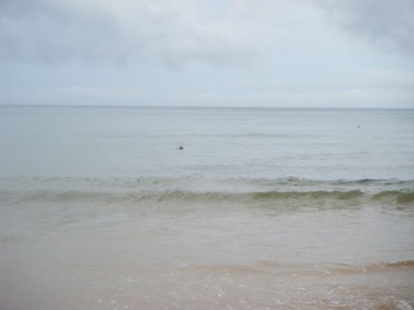 Photo from 31 Aug 2008