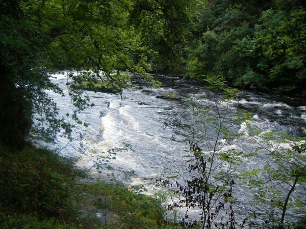 Photo from 4 Sept 2008