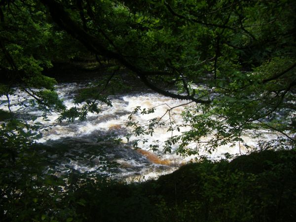 Photo from 4 Sept 2008